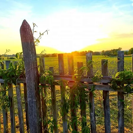 Blanka Wellness Villa