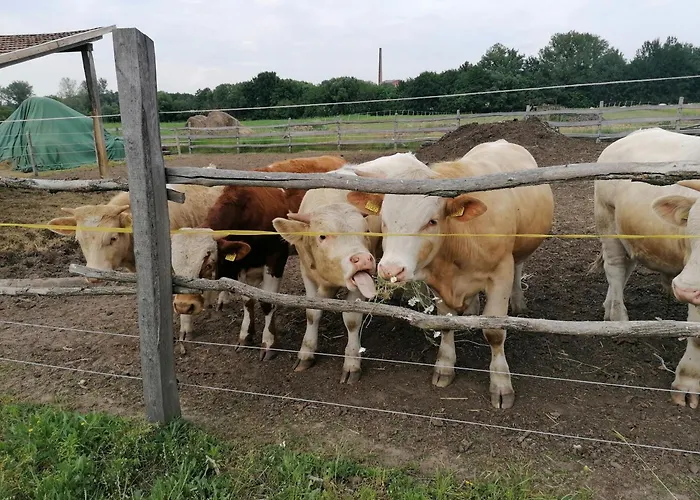 Villa Blanka Wellness